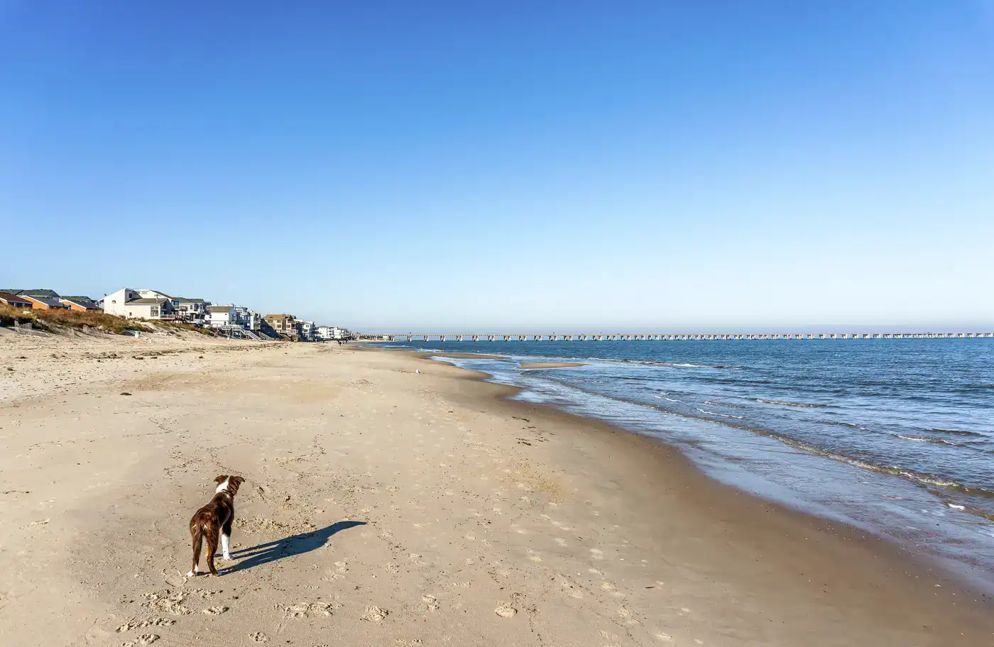 virginia beach